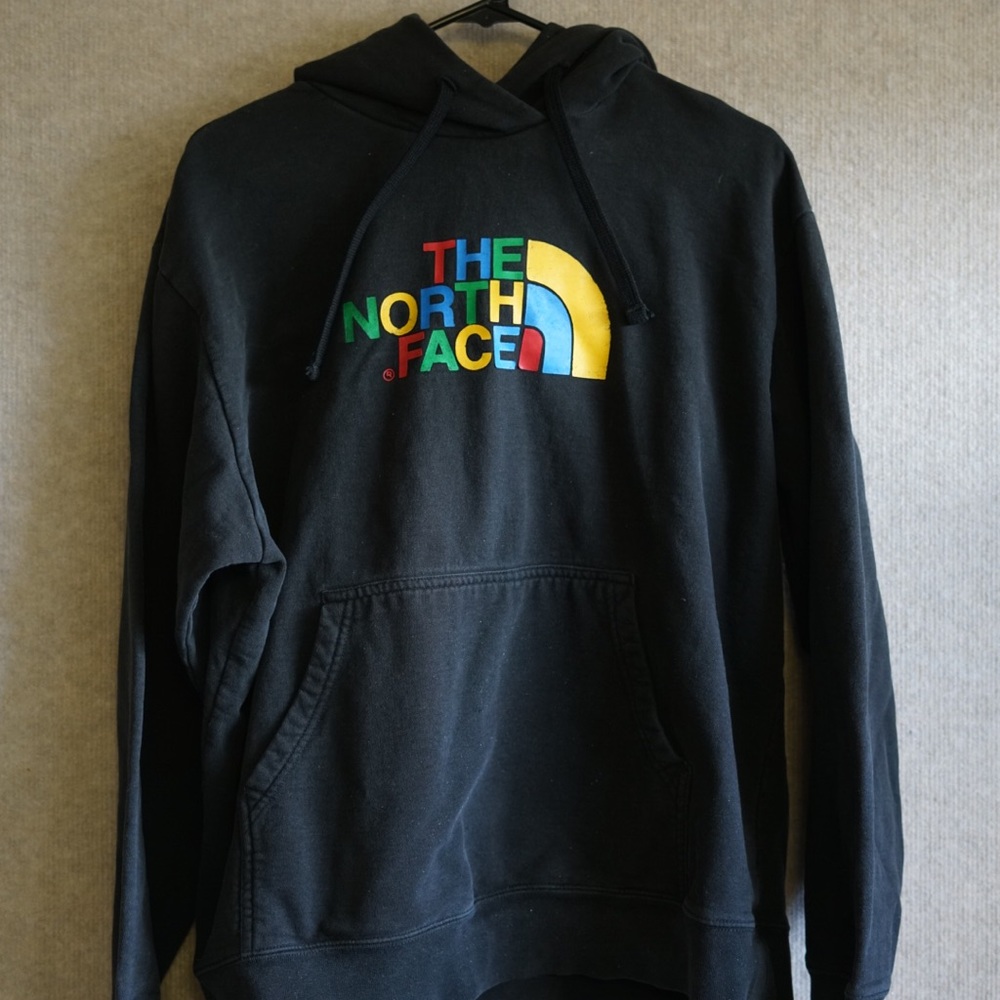 The North Face Multicolor Logo Hoodie